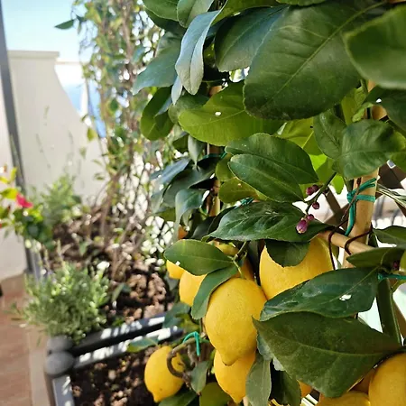 Brikette * Positano